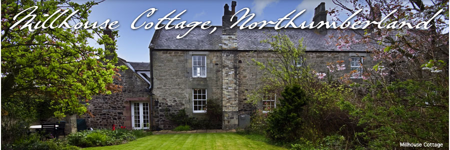 Holiday Cottage Bamburgh Budle Bay Self Catering Cottage